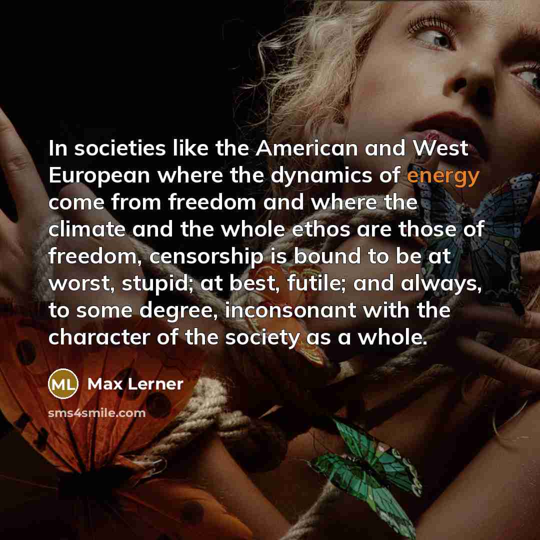 “In societies like the American and West European where the…” quote by Max Lerner