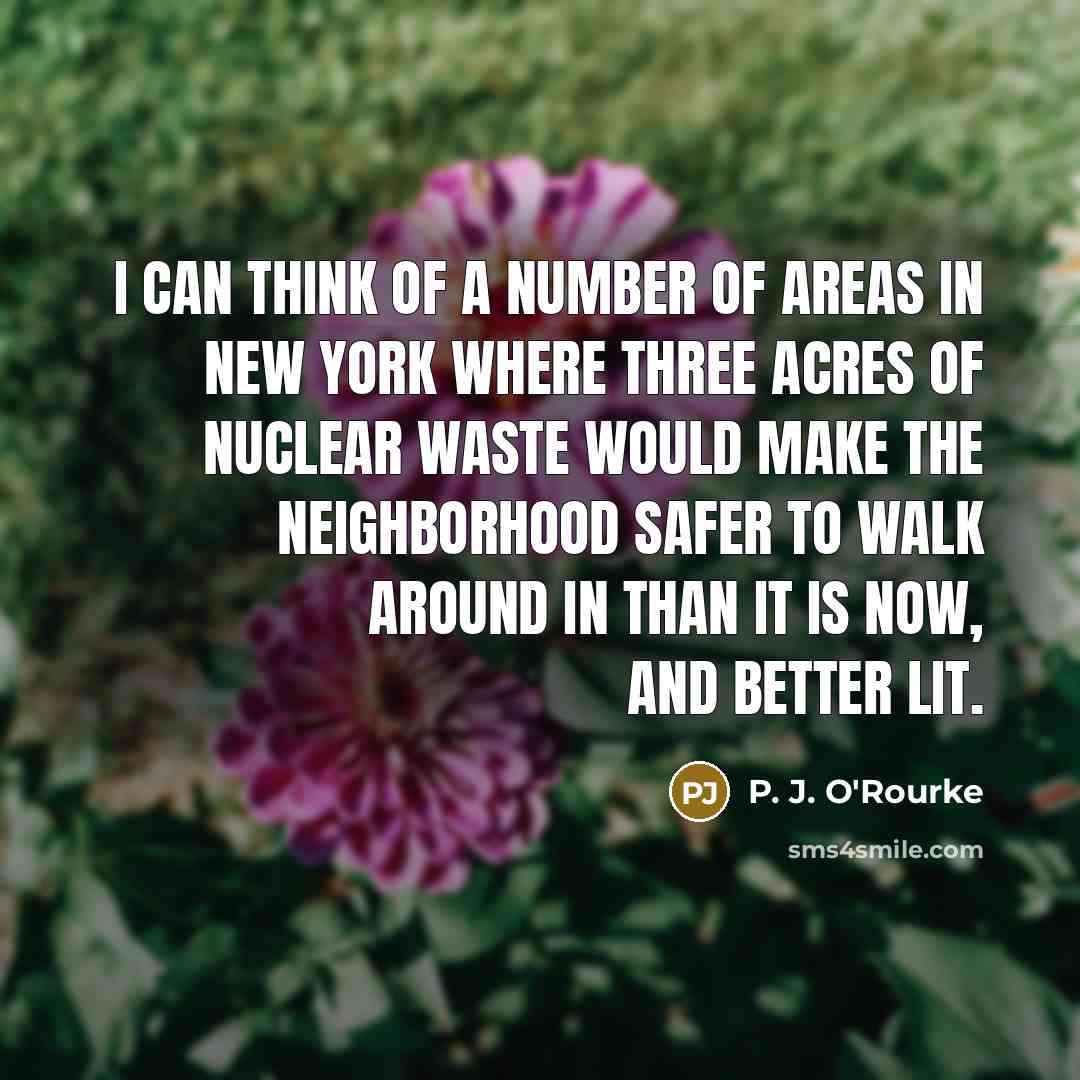 “I can think of a number of areas in New…” quote by P. J. O'Rourke