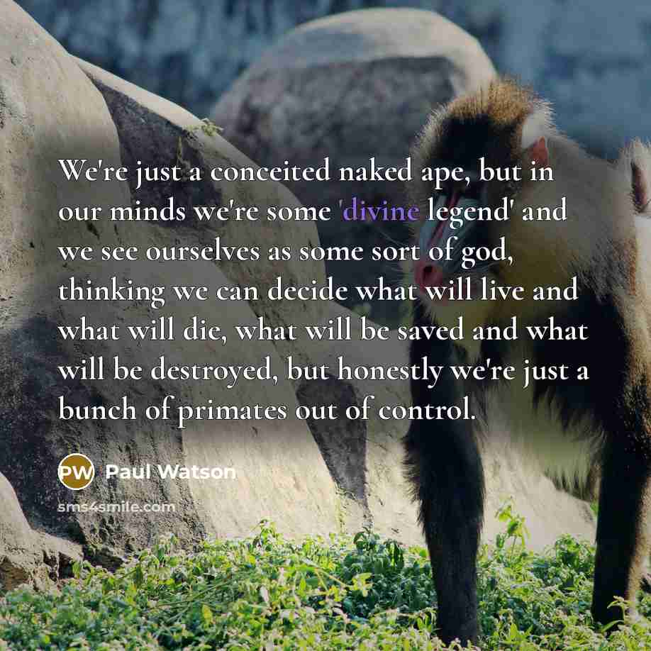 “We're just a conceited naked ape, but in our minds…” quote by Paul Watson