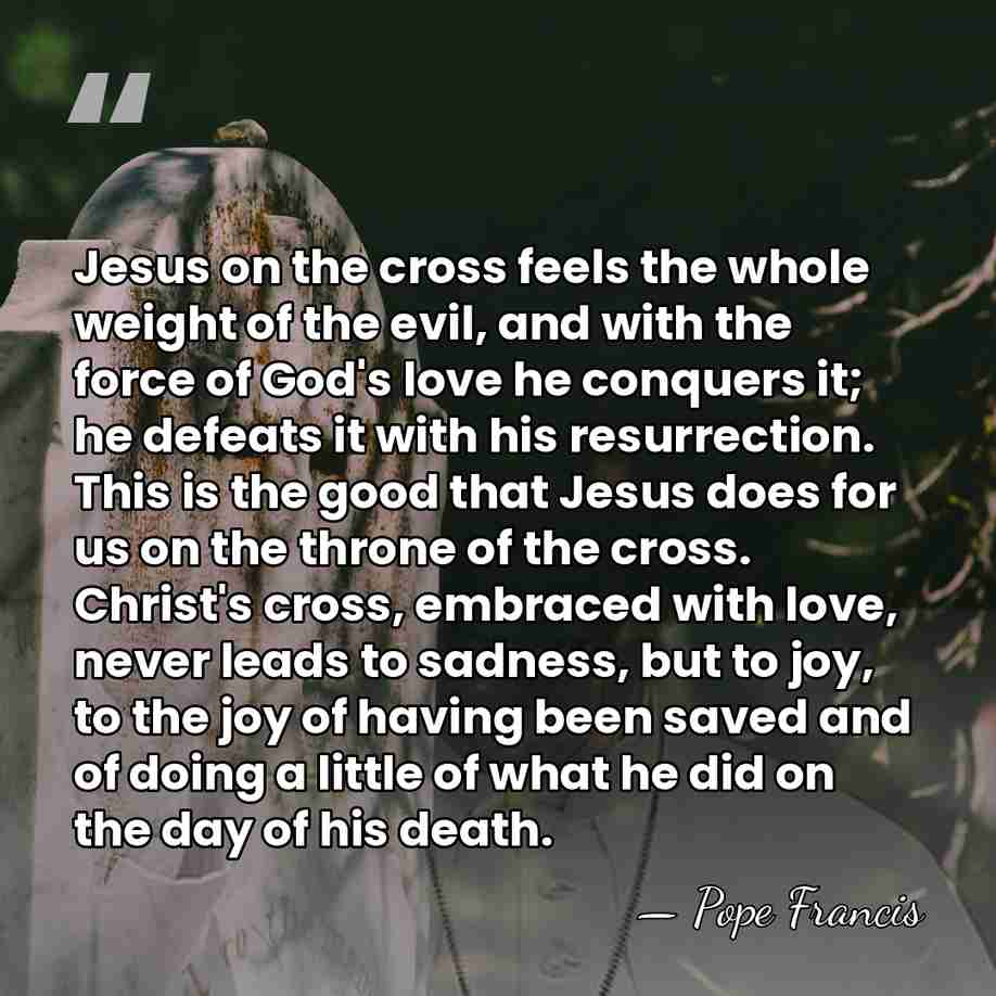 Jesus on the cross feels the whole weight of the evil, and&hellip; - Pope Francis
