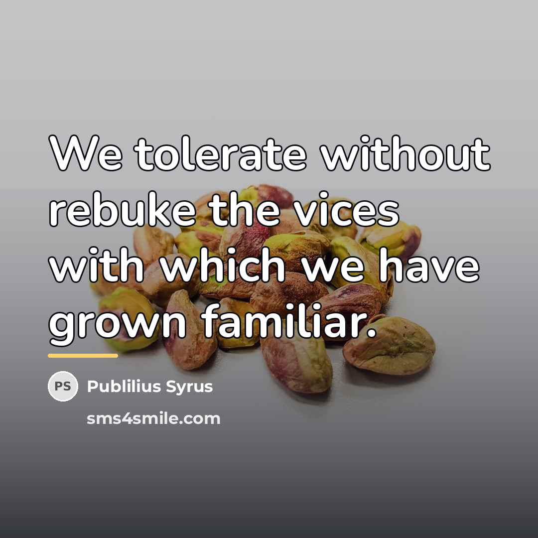 “We tolerate without rebuke the vices with which we have…” quote by Publilius Syrus