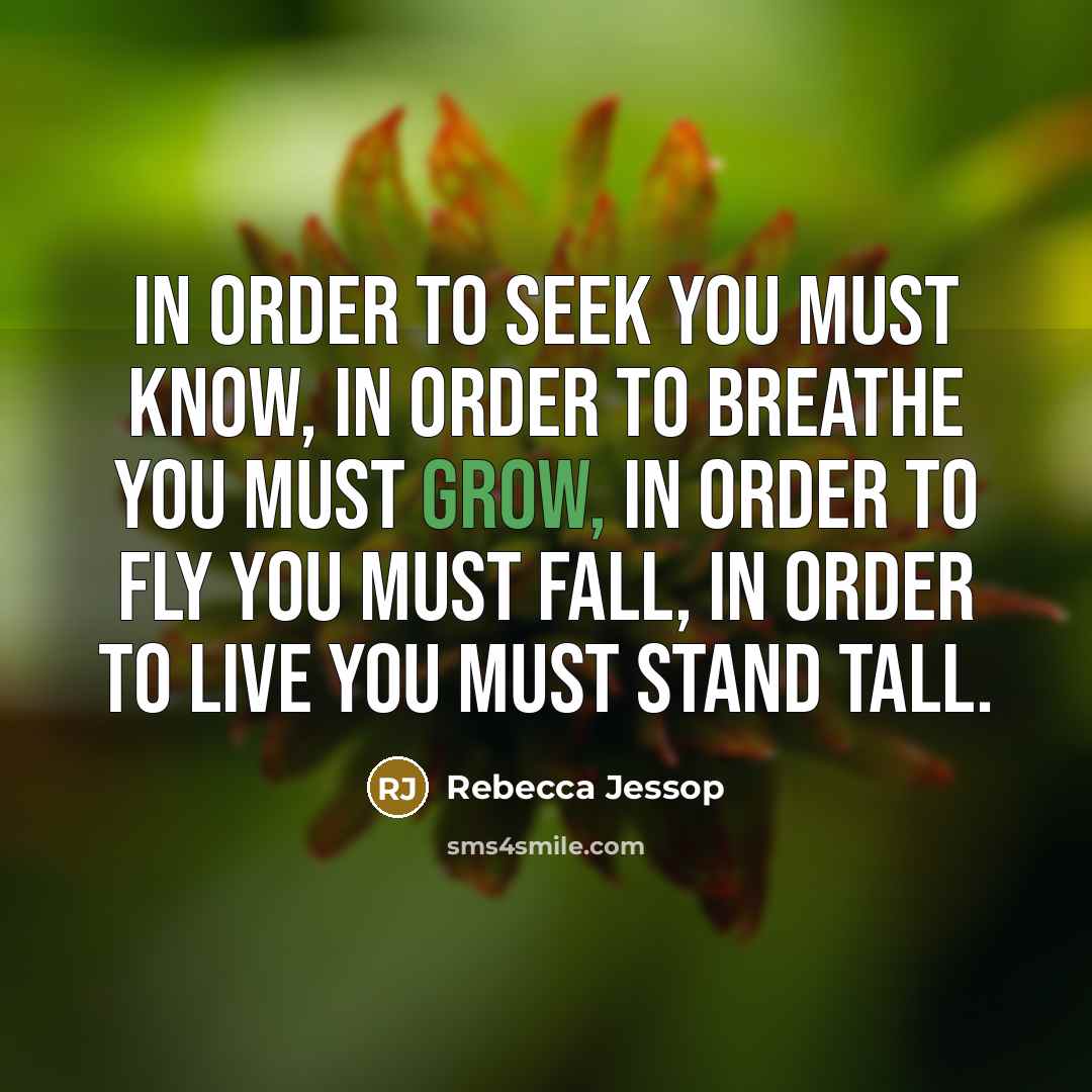 “In order to seek you must know, In order to…” quote by Rebecca Jessop
