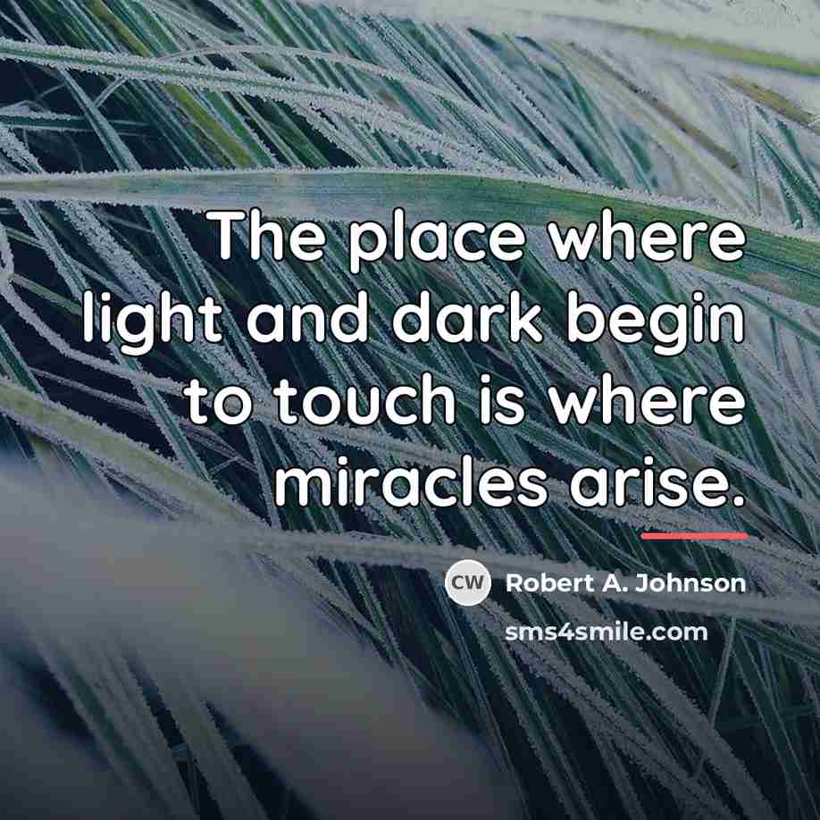 “The place where light and dark begin to touch is…” quote by Robert A. Johnson