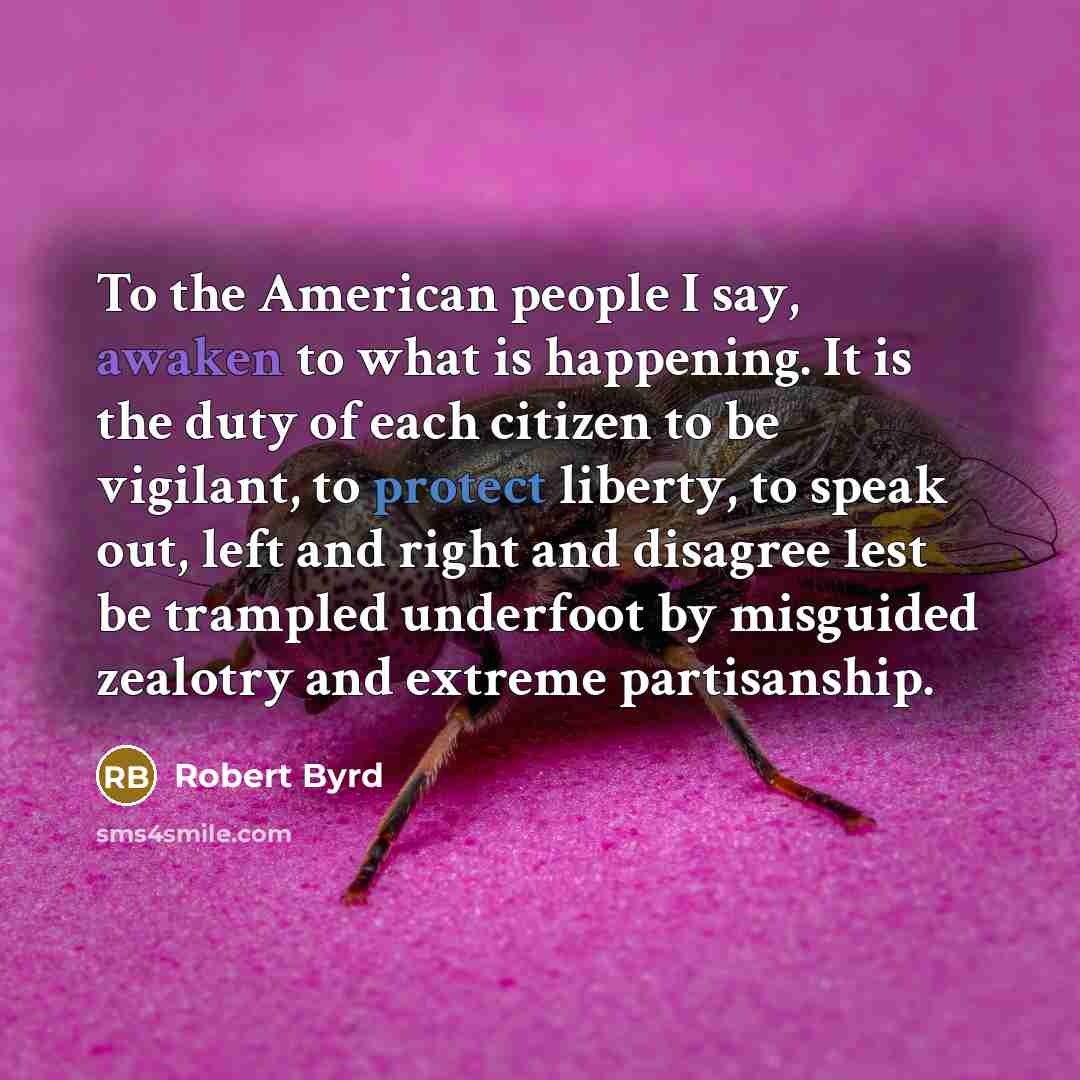 “To the American people I say, awaken to what is…” quote by Robert Byrd