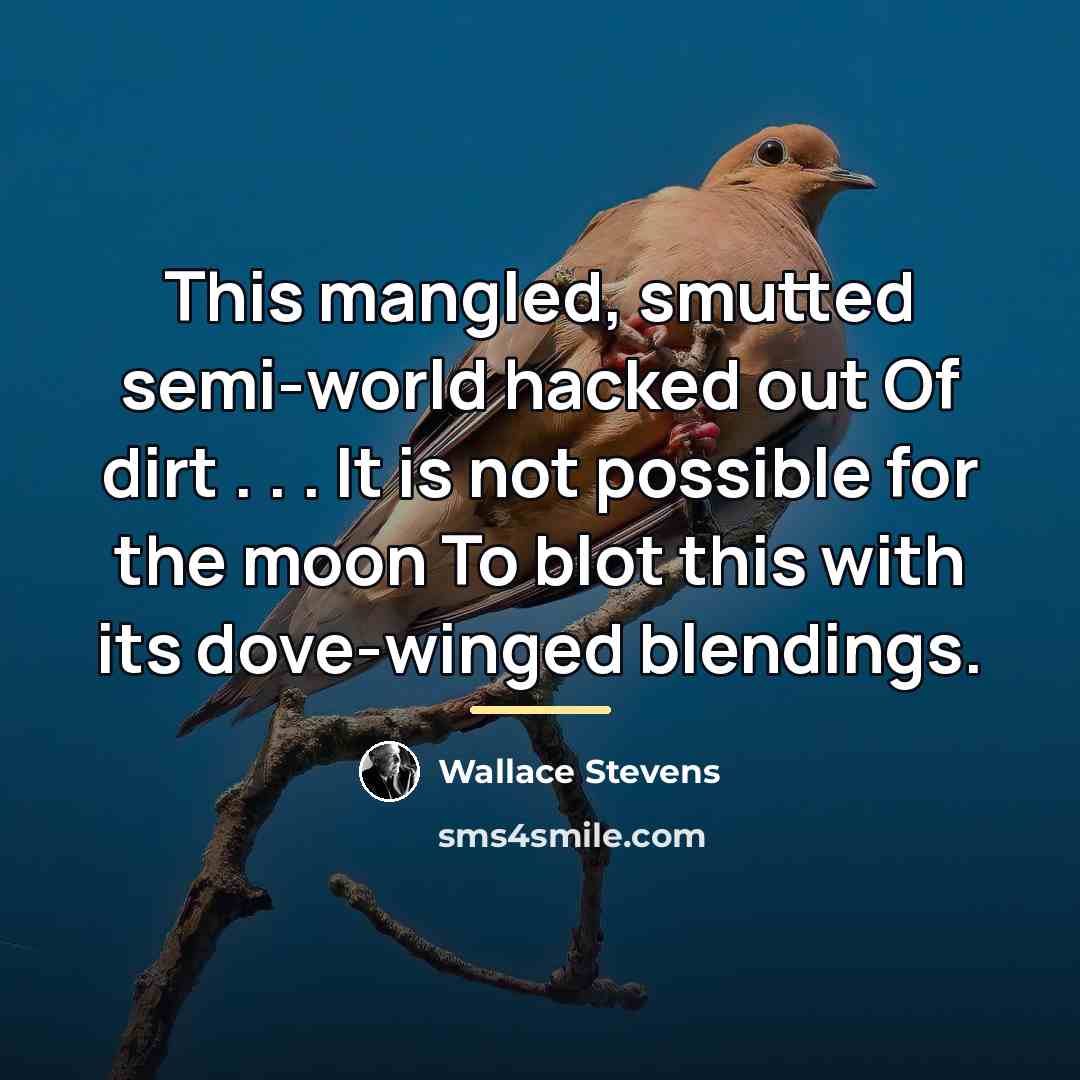“This mangled, smutted semi-world hacked out Of dirt . .…” quote by Wallace Stevens