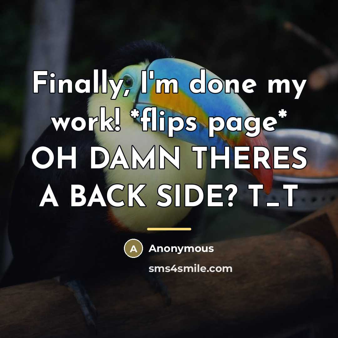 “Finally, I'm done my work! *flips page* OH DAMN THERES…” quote by Anonymous