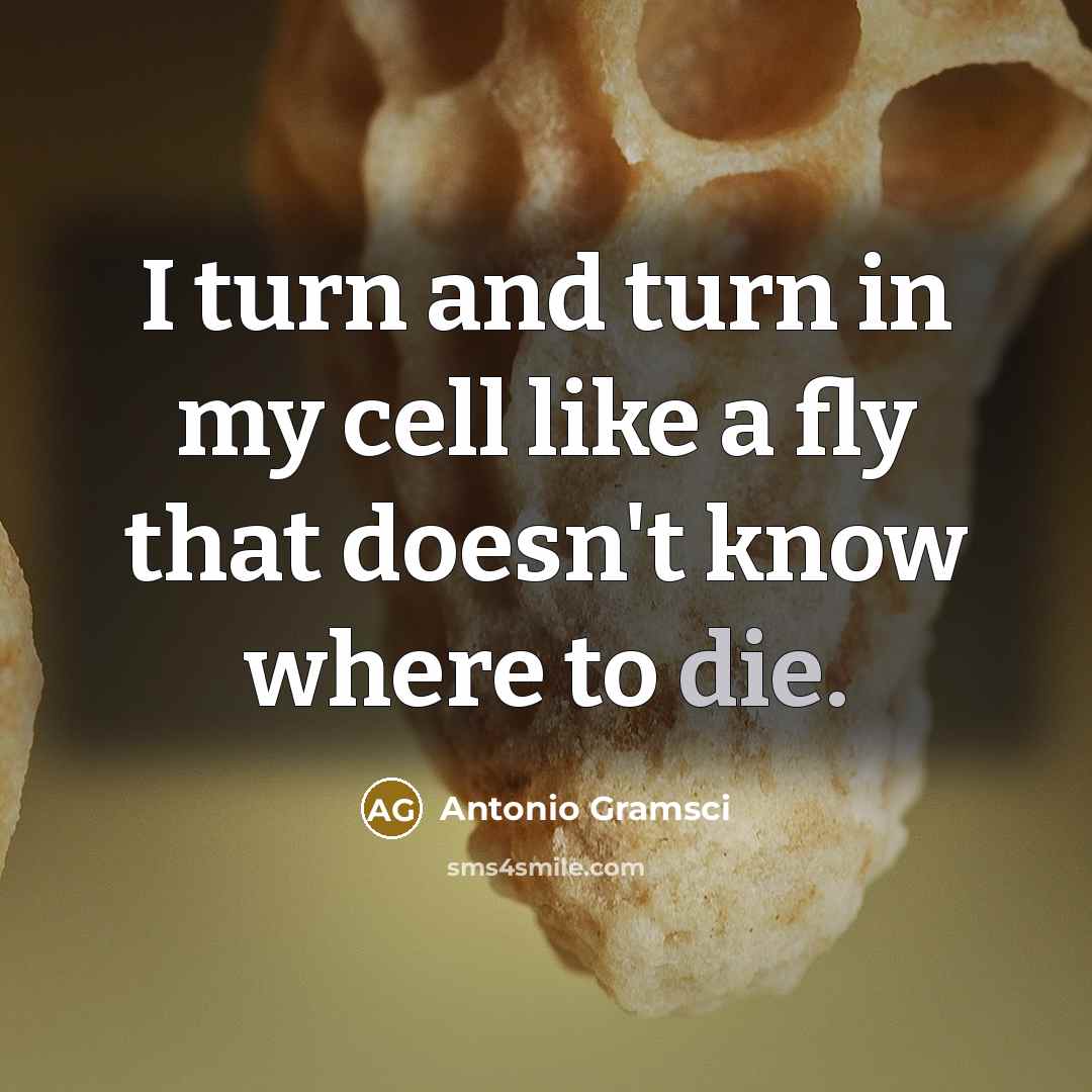 “I turn and turn in my cell like a fly that doesn't know where to die.” quote by Antonio Gramsci