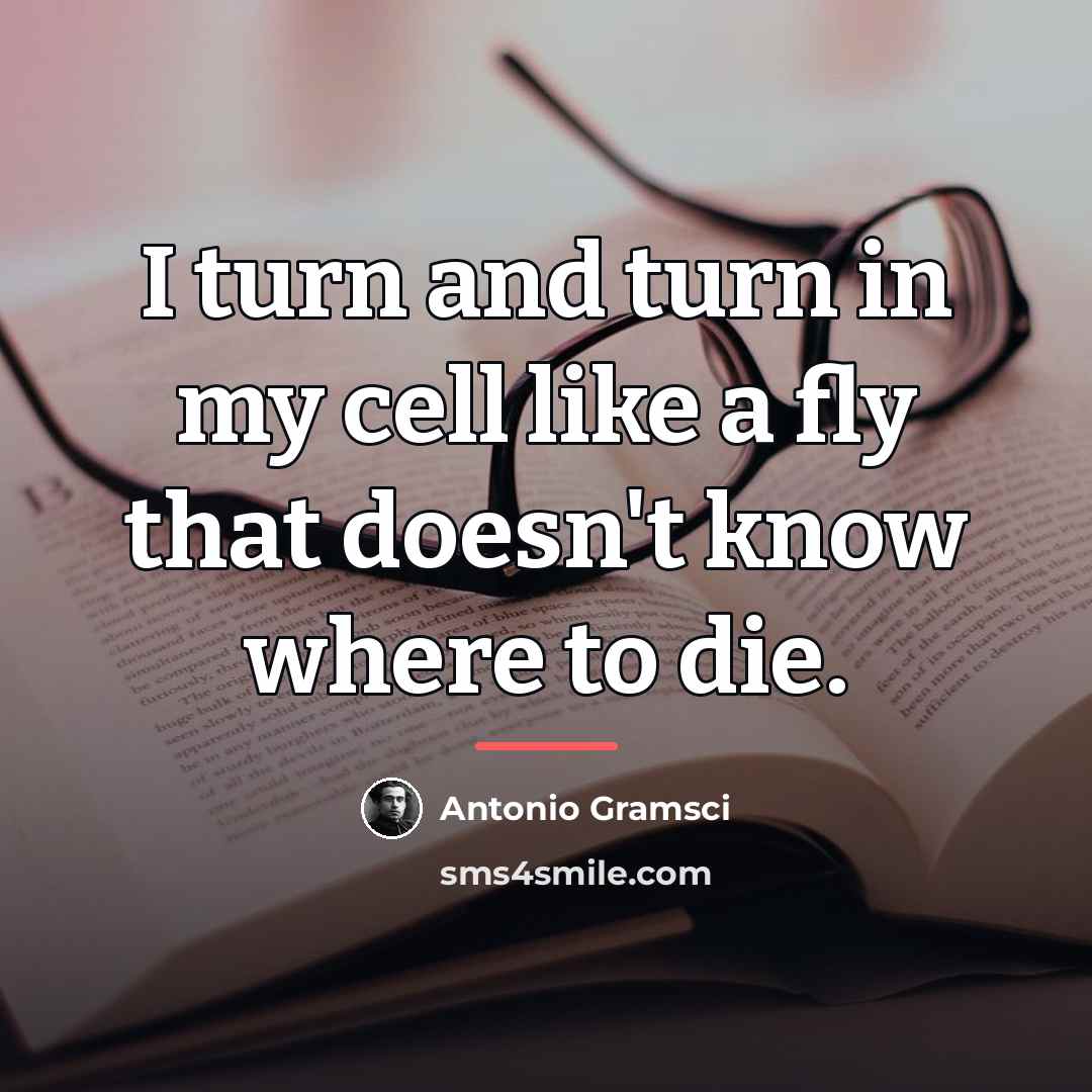 “I turn and turn in my cell like a fly…” quote by Antonio Gramsci