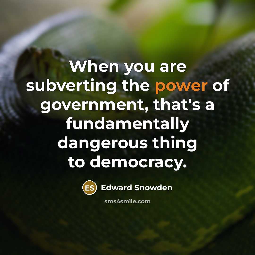 “When you are subverting the power of government, that's a…” quote by Edward Snowden