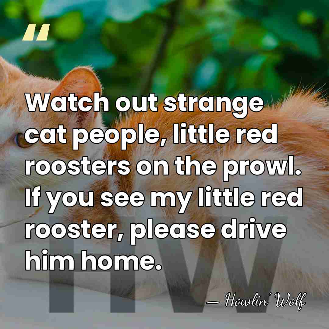 Watch out strange cat people, little red roosters on the prowl. If&hellip; - Howlin' Wolf