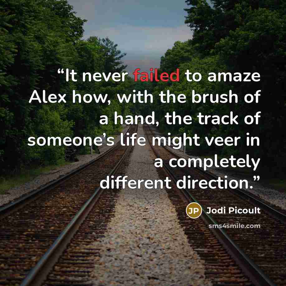 “It never failed to amaze Alex how, with the brush of a hand, the track of someone’s life might veer in a completely different direction.” quote by Jodi Picoult