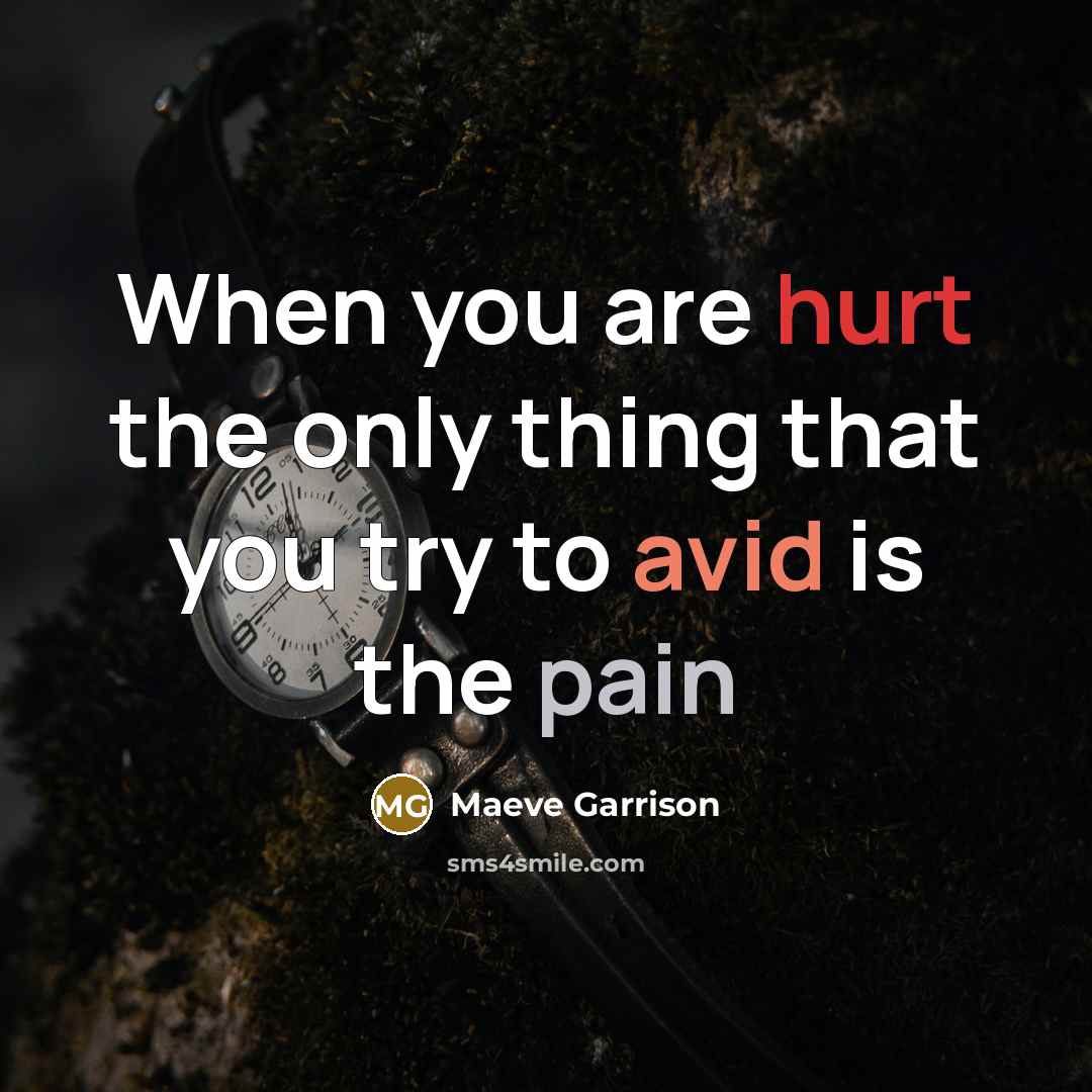 “When you are hurt the only thing that you try…” quote by Maeve Garrison