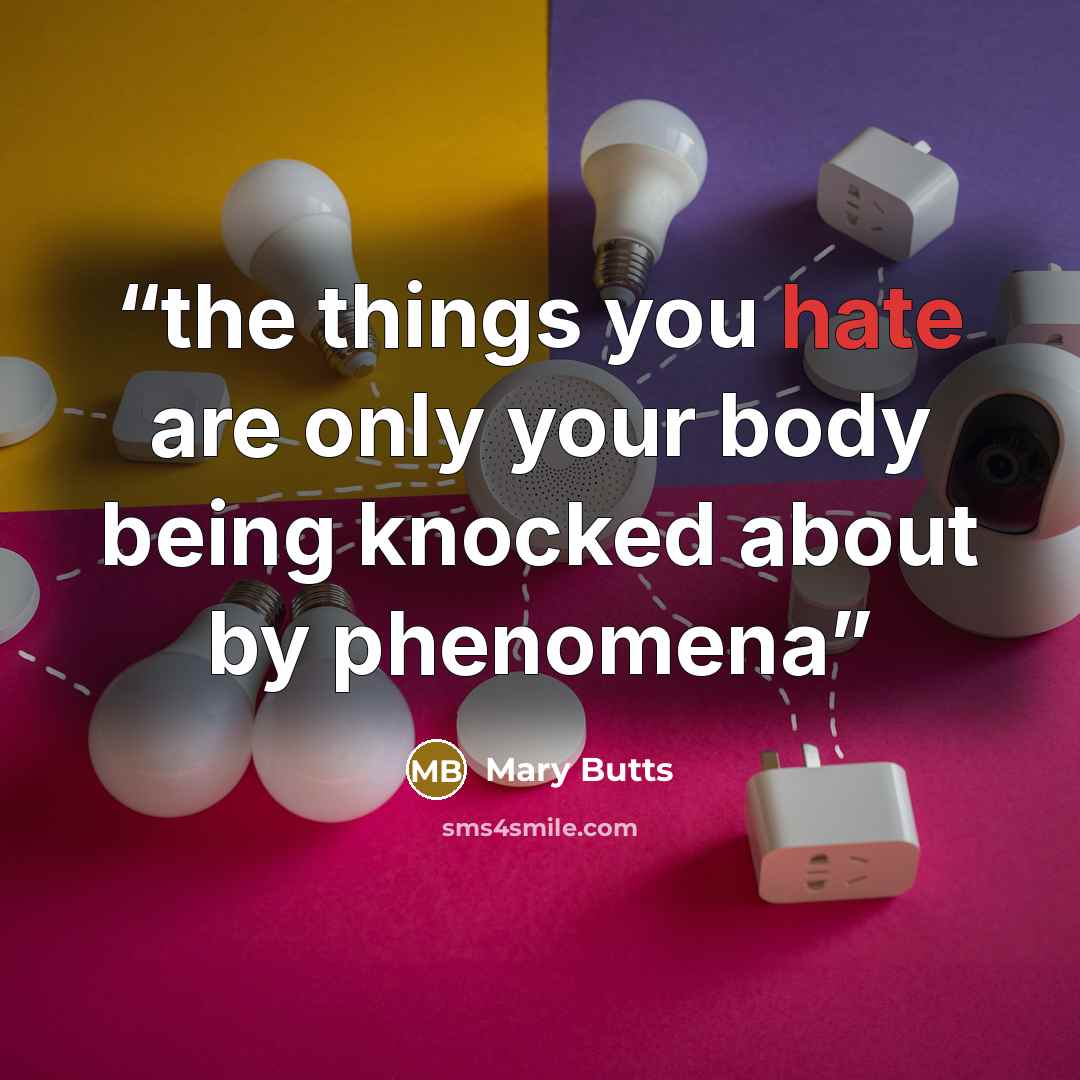 “the things you hate are only your body being knocked about by phenomena” quote by Mary Butts