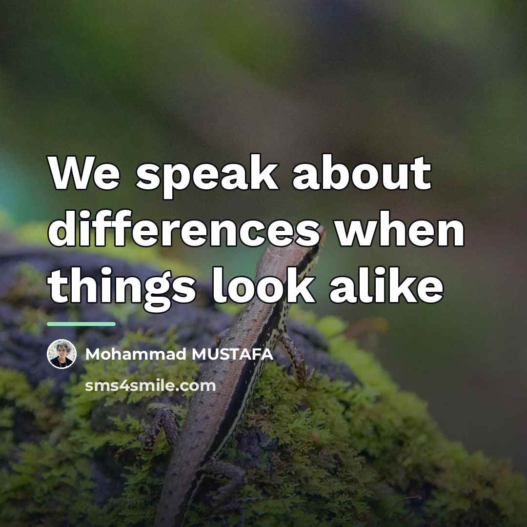 “We speak about differences when things look alike…” quote by Mohammad MUSTAFA