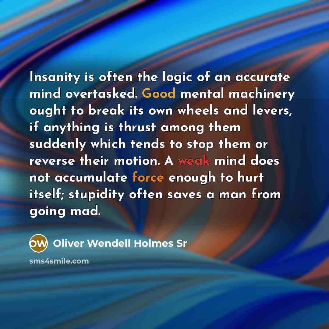 “Insanity is often the logic of an accurate mind overtasked.…” quote by Oliver Wendell Holmes Sr