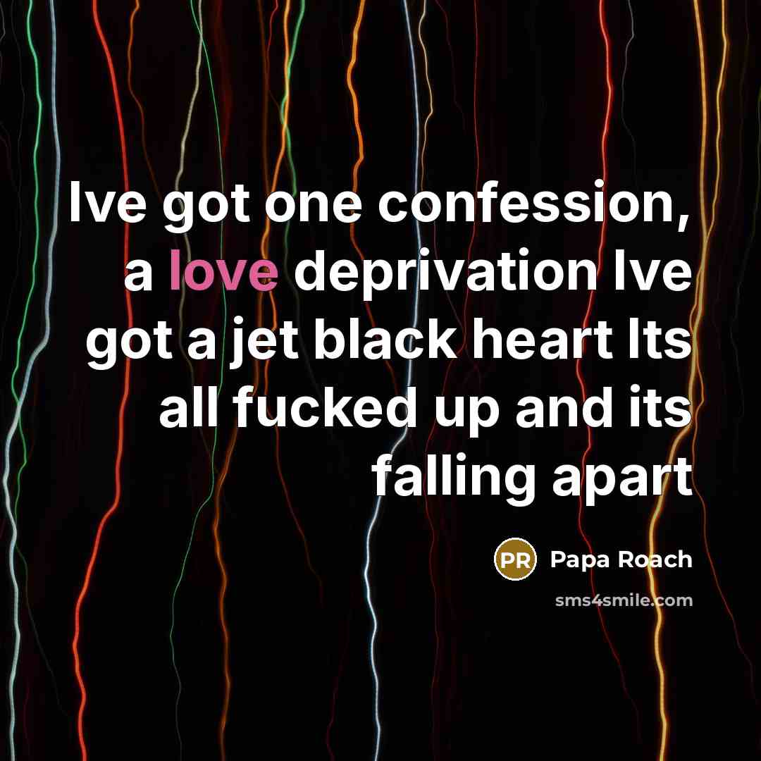 “Ive got one confession, a love deprivation Ive got a jet black heart Its all fucked up and its falling apart” quote by Papa Roach