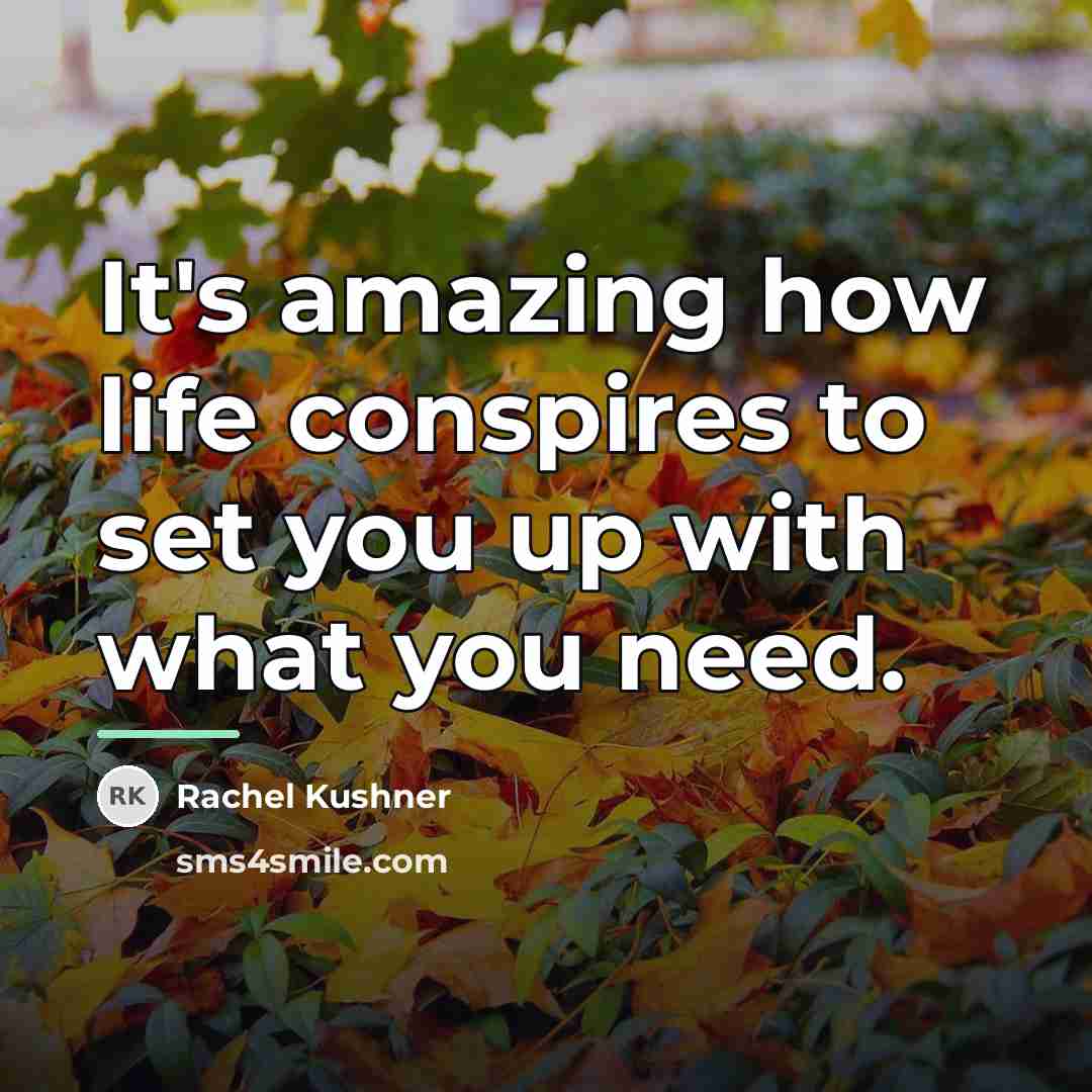 “It's amazing how life conspires to set you up with…” quote by Rachel Kushner