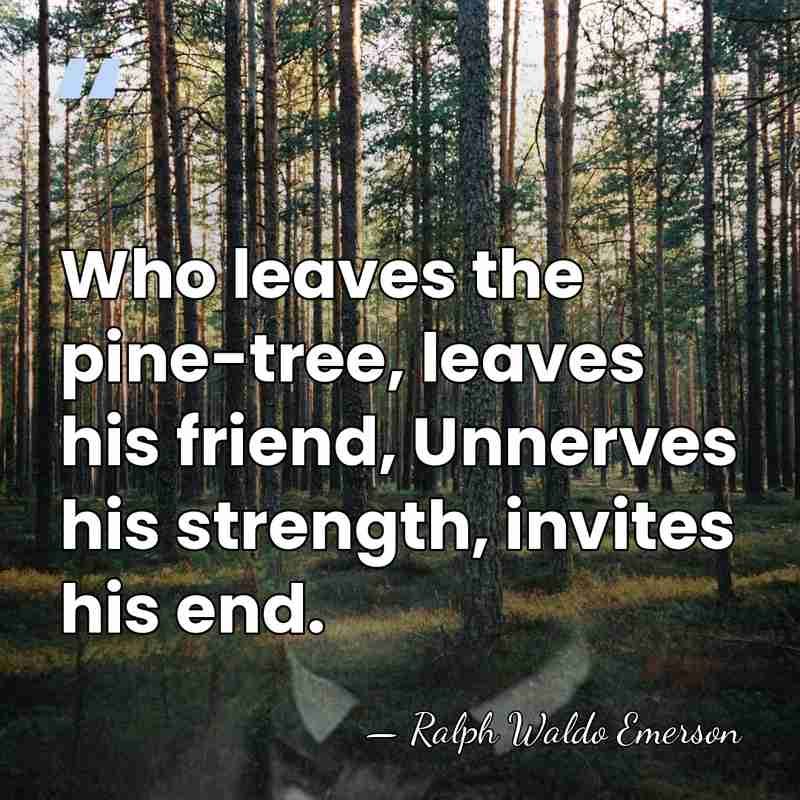 Who leaves the pine-tree, leaves his friend, Unnerves his strength, invites his&hellip; - Ralph Waldo Emerson