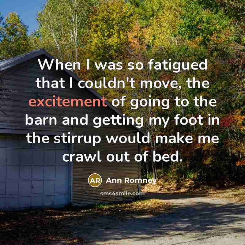 “When I was so fatigued that I couldn't move, the…” quote by Ann Romney
