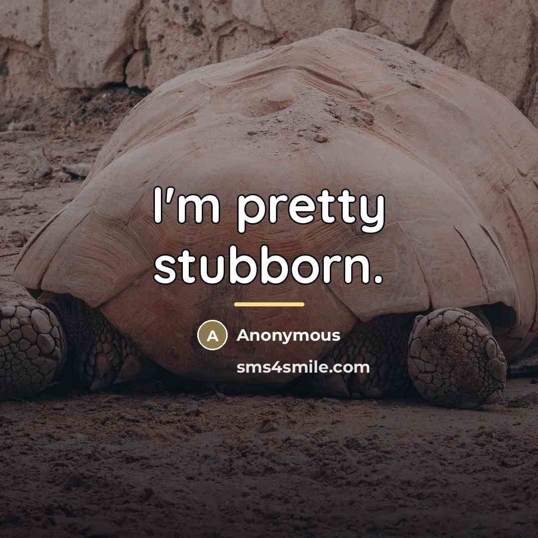 “I'm pretty stubborn.…” quote by Anonymous