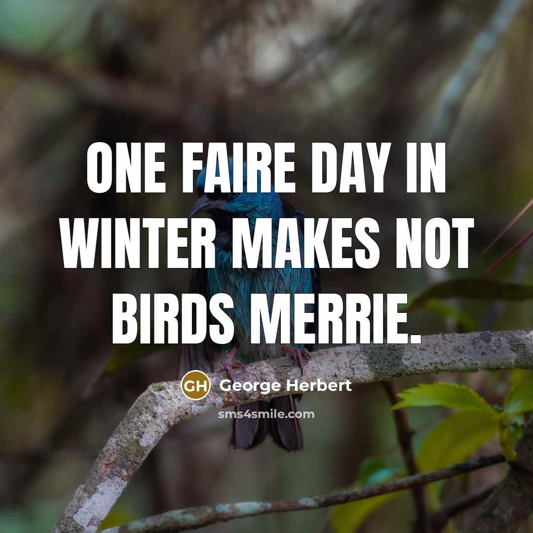 “One faire day in winter makes not birds merrie.…” quote by George Herbert
