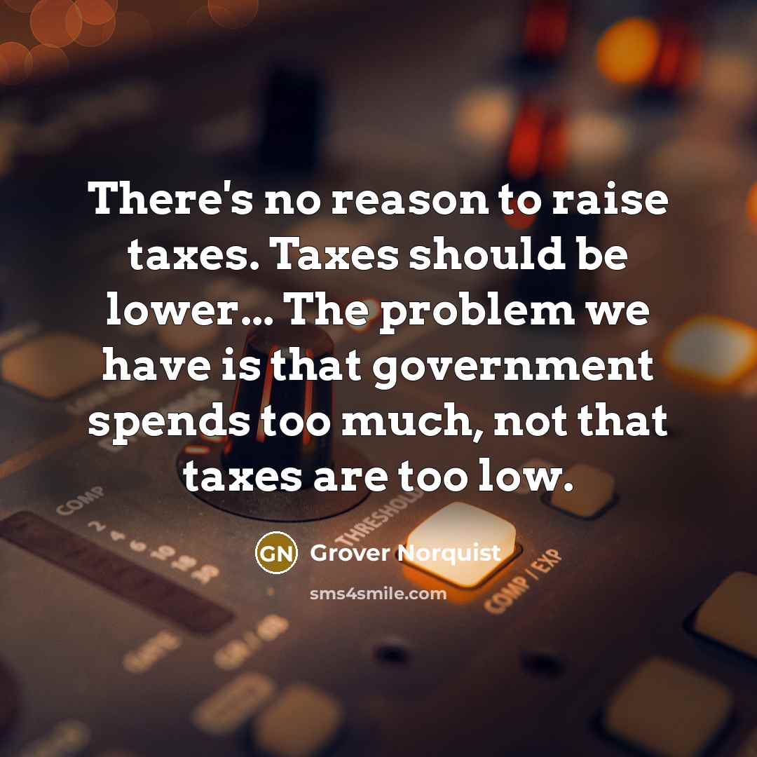 “There's no reason to raise taxes. Taxes should be lower...…” quote by Grover Norquist