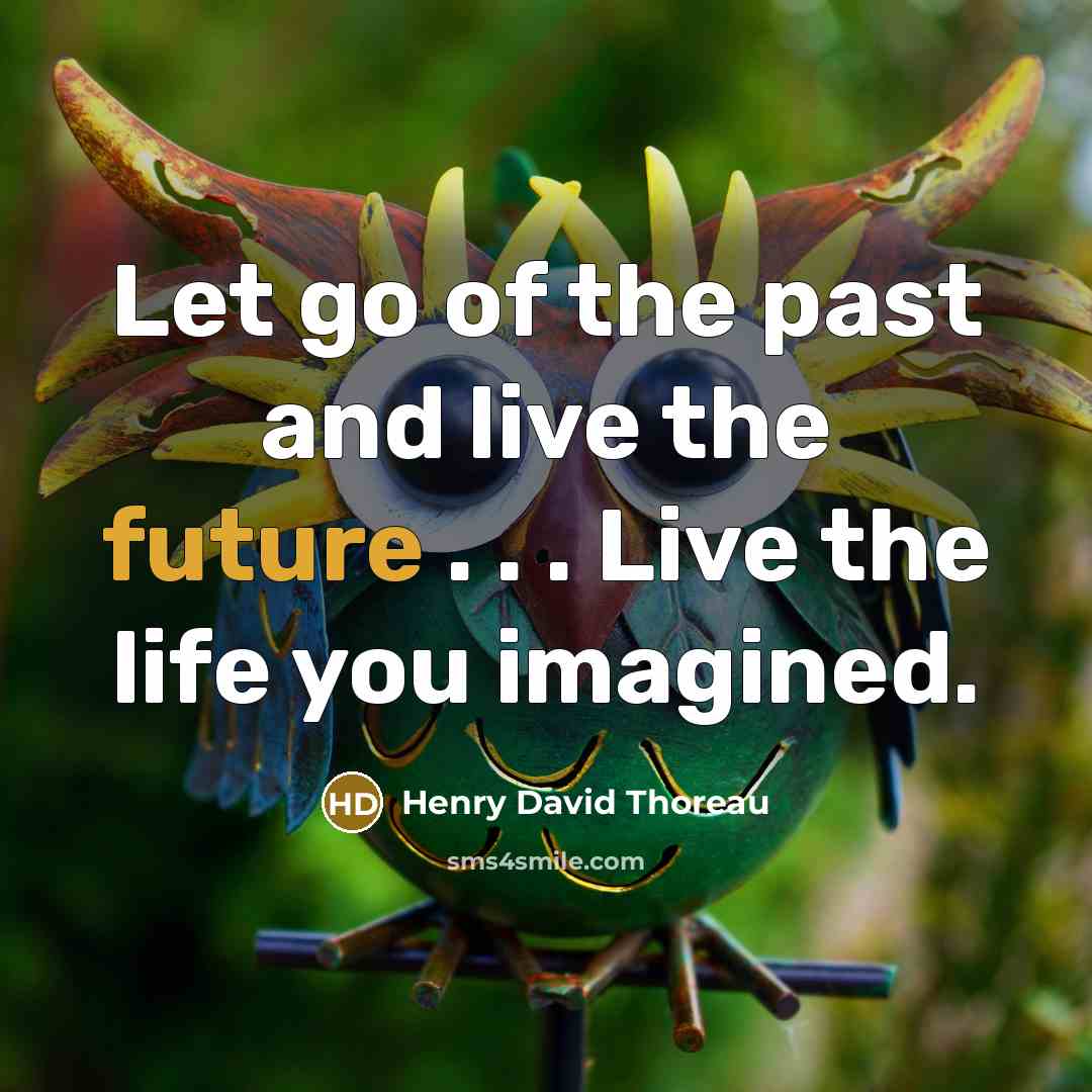“Let go of the past and live the future . . . Live the life you imagined.” quote by Henry David Thoreau