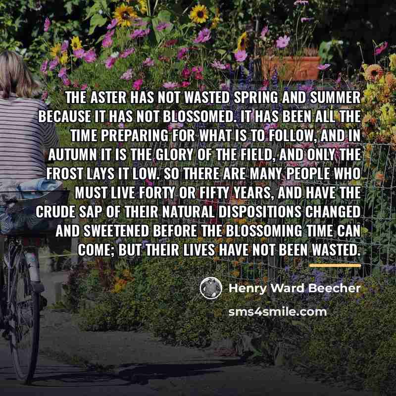 “The aster has not wasted spring and summer because it…” quote by Henry Ward Beecher