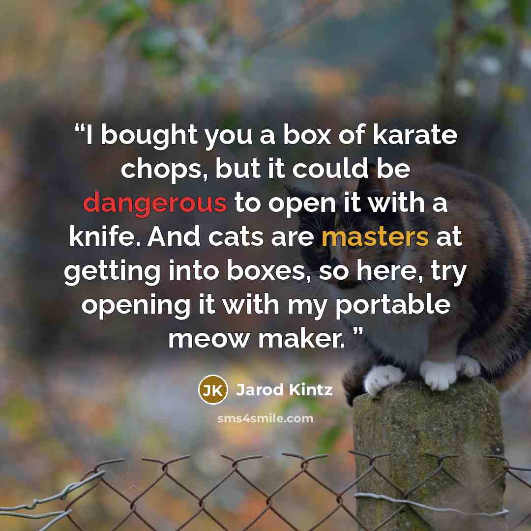 “I bought you a box of karate chops, but it could be dangerous to open it with a knife. And cats are masters at getting into boxes, so here, try opening it with my portable meow maker.” quote by Jarod Kintz