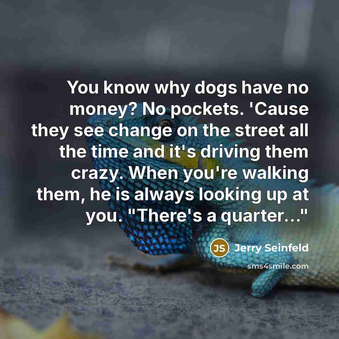 “You know why dogs have no money? No pockets. 'Cause they see change on the street all the time and it's driving them crazy. When you're walking them, he is always looking up at you. "There's a quarter…"” quote by Jerry Seinfeld