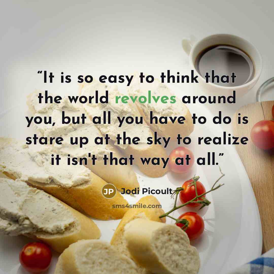 “It is so easy to think that the world revolves around you, but all you have to do is stare up at the sky to realize it isn't that way at all.” quote by Jodi Picoult