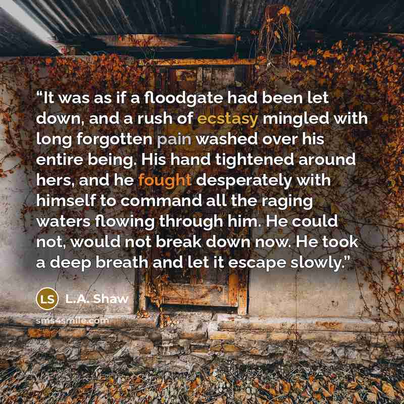 “It was as if a floodgate had been let down, and a rush of ecstasy mingled with long forgotten pain washed over his entire being. His hand tightened around hers, and he fought desperately with himself to command all the raging waters flowing through him. He could not, would not break down now. He…” quote by L.A. Shaw