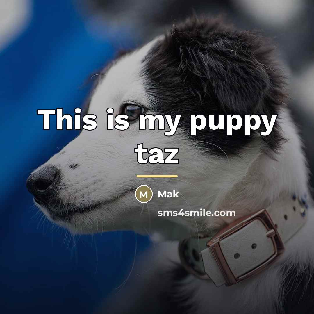 “This is my puppy taz…” quote by Mak