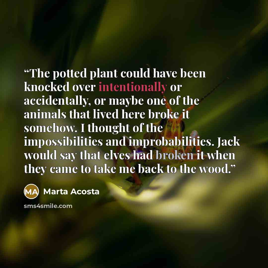 “The potted plant could have been knocked over intentionally or accidentally, or maybe one of the animals that lived here broke it somehow. I thought of the impossibilities and improbabilities. Jack would say that elves had broken it when they came to take me back to the wood.” quote by Marta Acosta