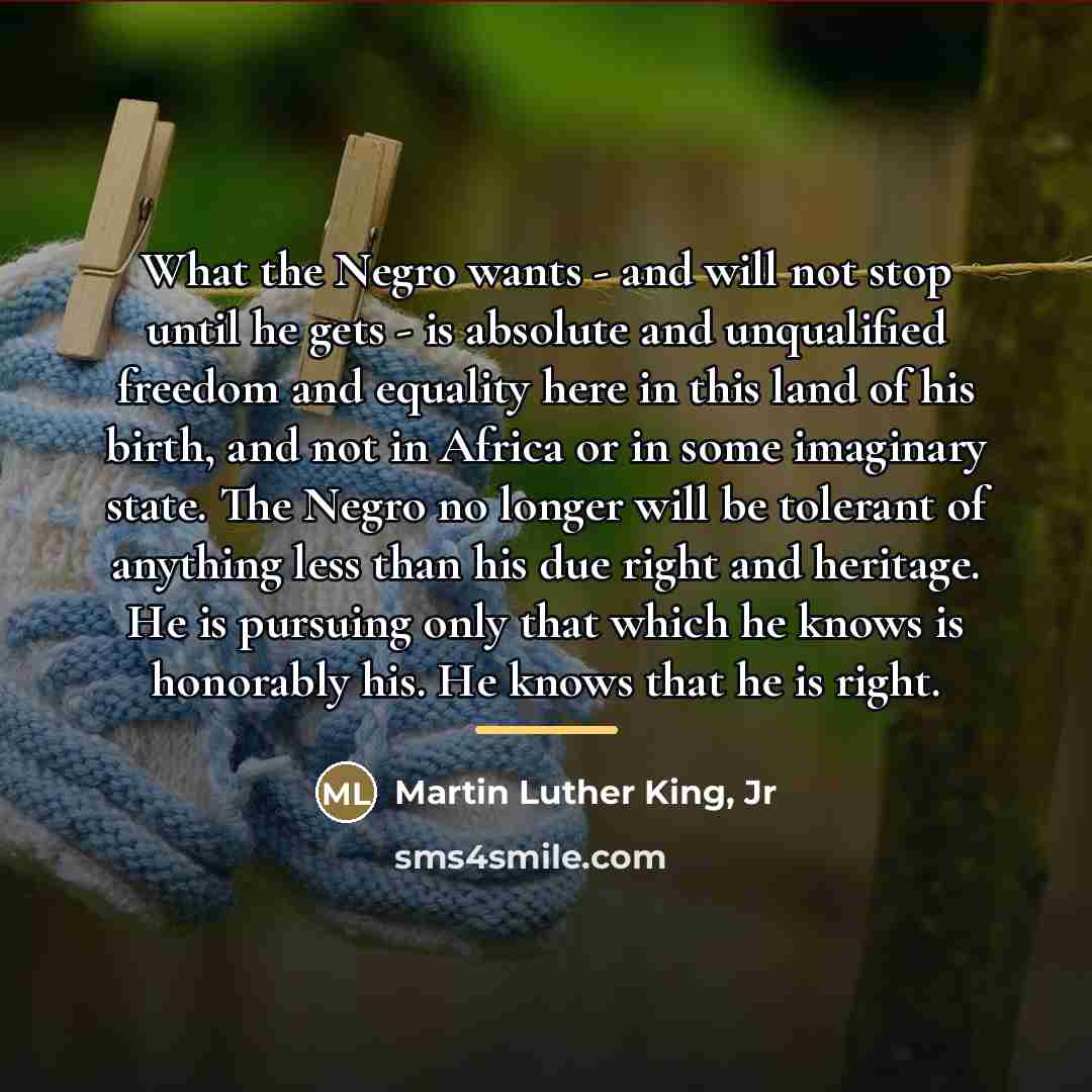 “What the Negro wants - and will not stop until…” quote by Martin Luther King, Jr