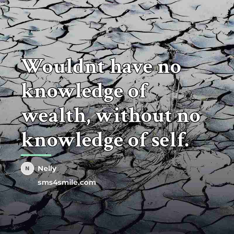“Wouldnt have no knowledge of wealth, without no knowledge of…” quote by Nelly
