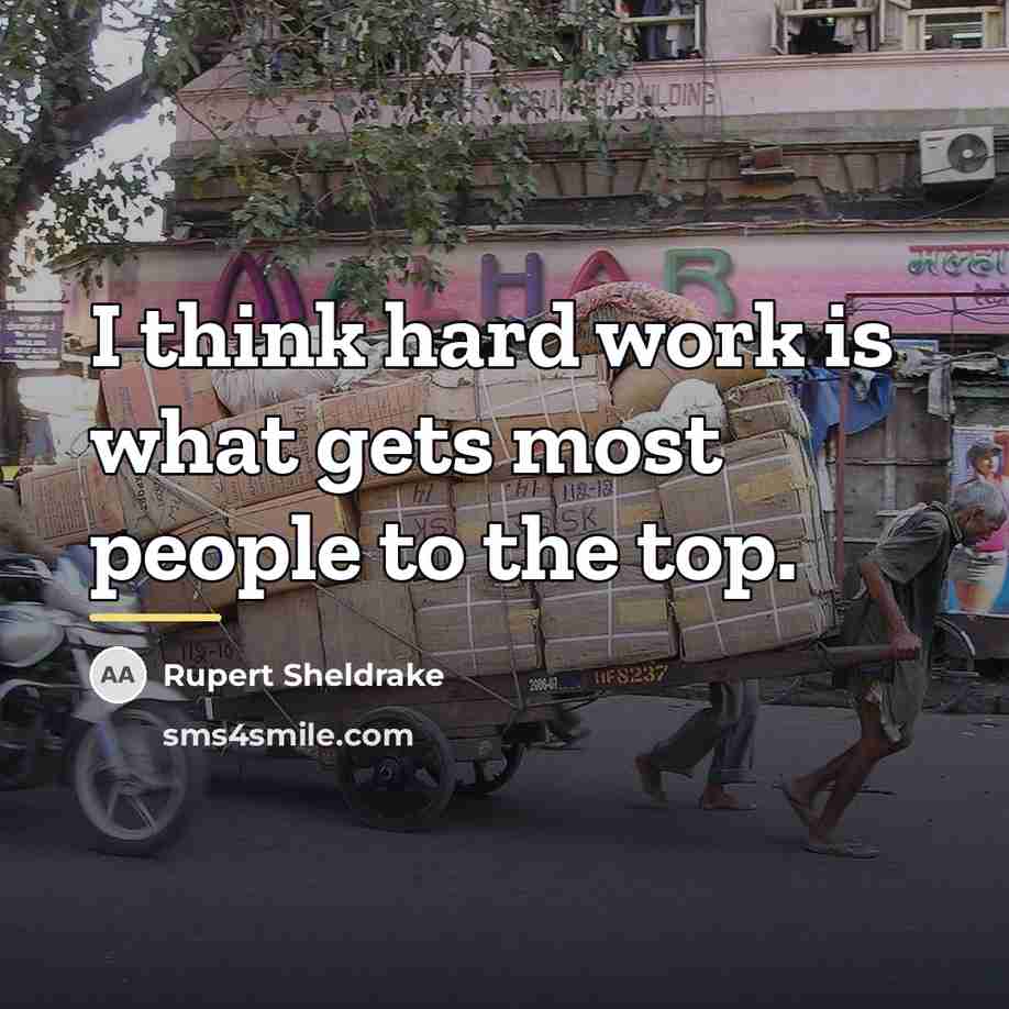 “I think hard work is what gets most people to…” quote by Rupert Sheldrake