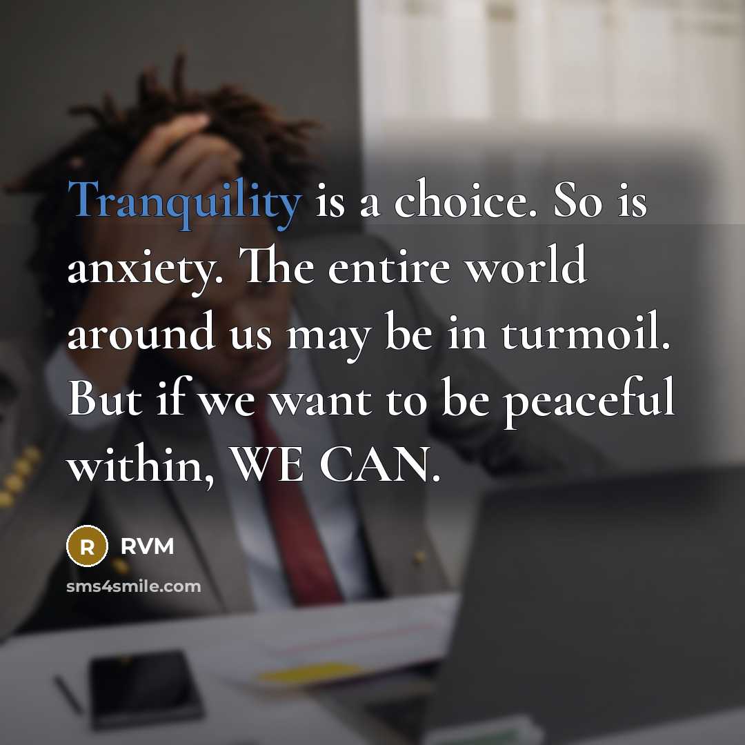“Tranquility is a choice. So is anxiety. The entire world…” quote by RVM