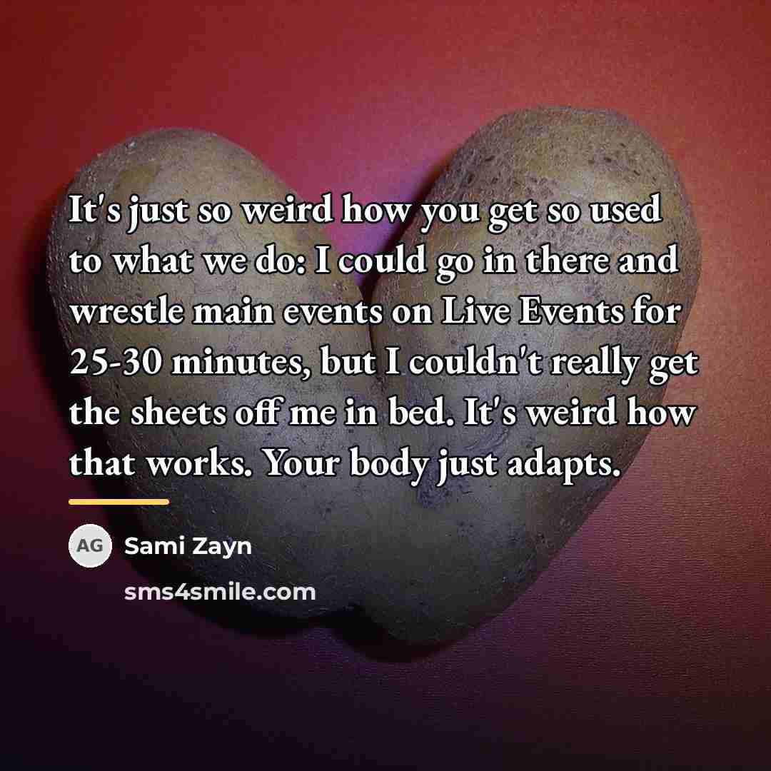“It's just so weird how you get so used to…” quote by Sami Zayn