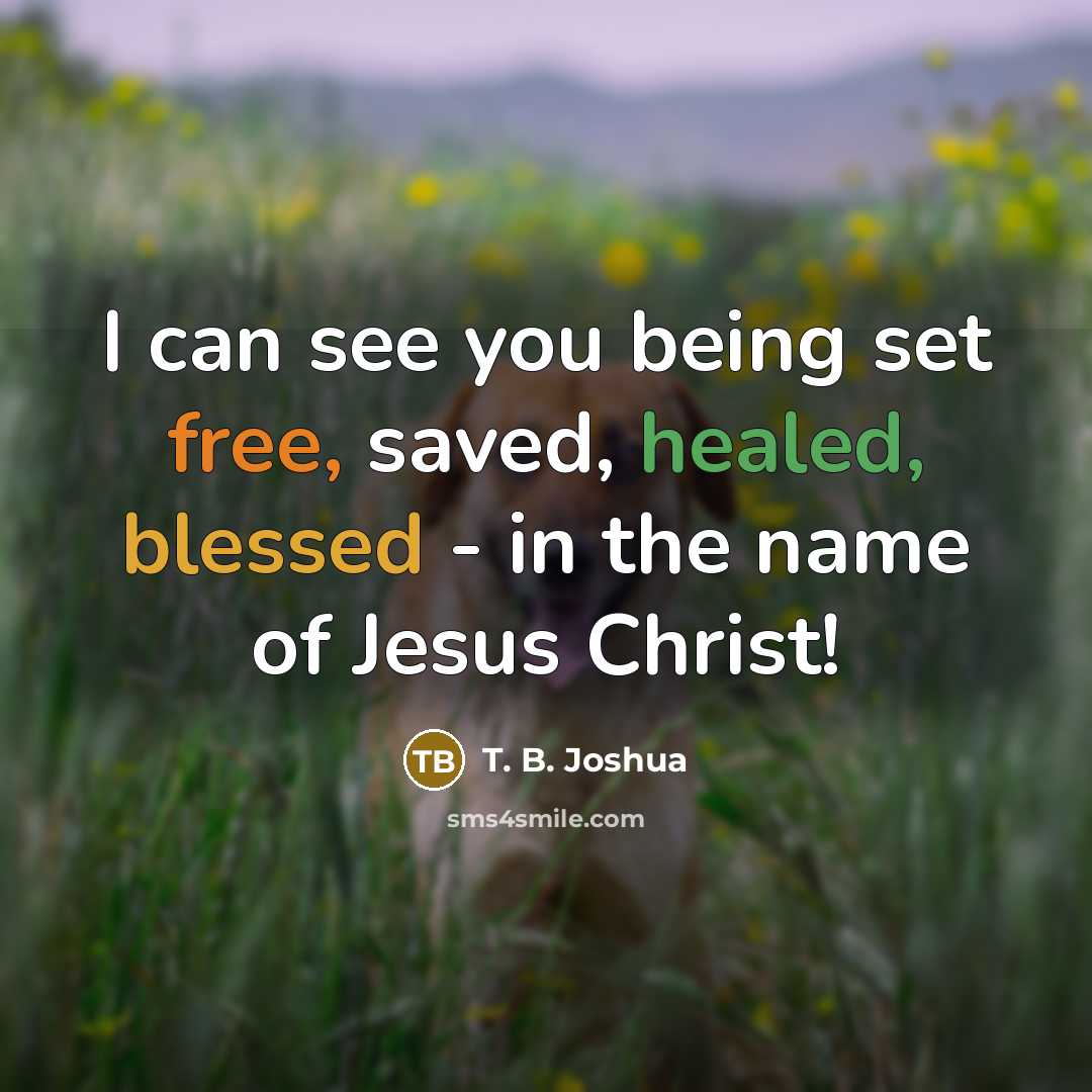 “I can see you being set free, saved, healed, blessed…” quote by T. B. Joshua