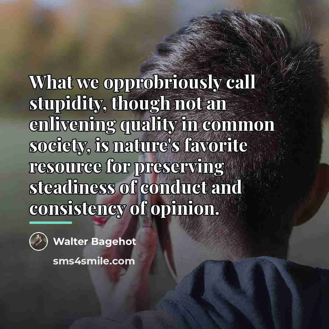 “What we opprobriously call stupidity, though not an enlivening quality…” quote by Walter Bagehot