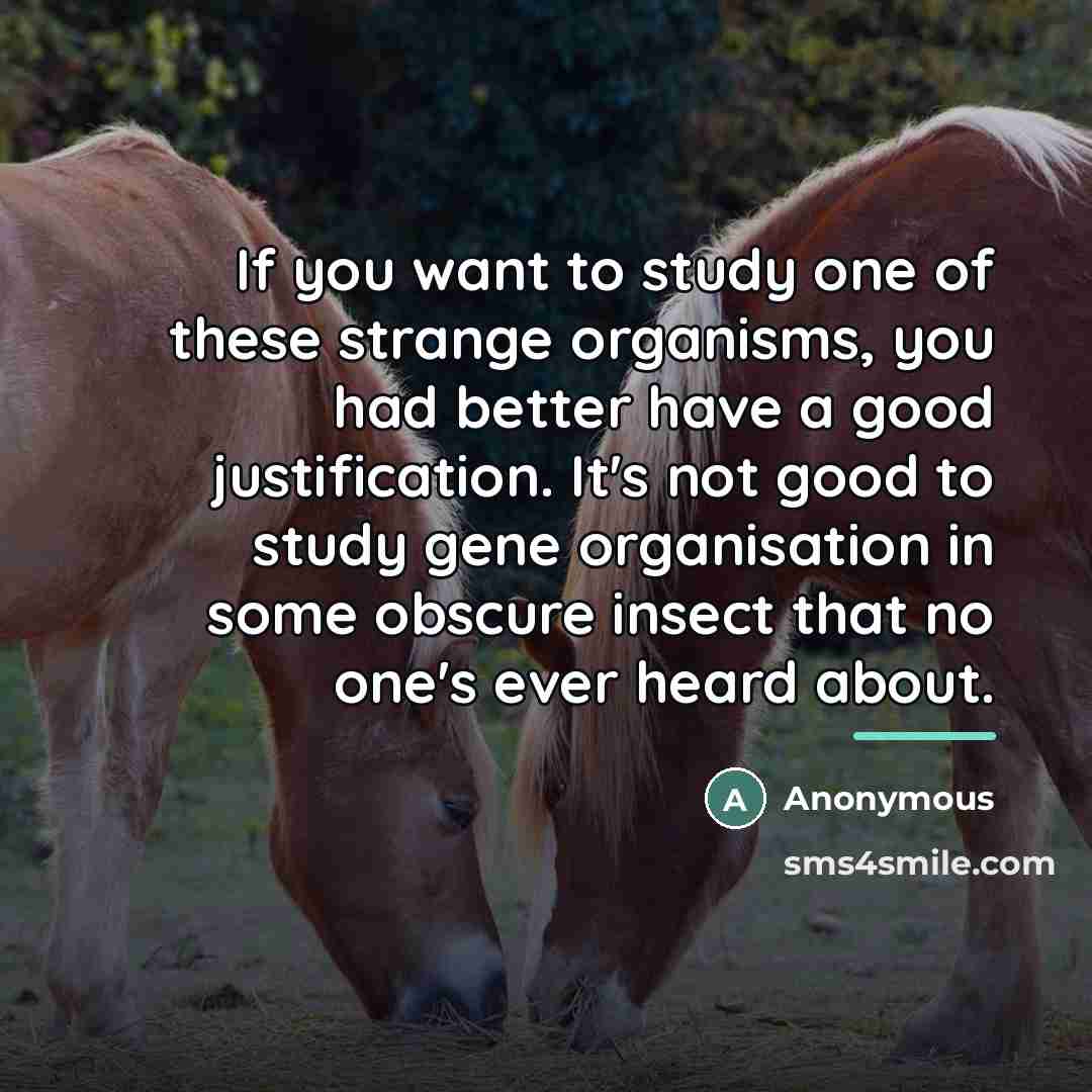 “If you want to study one of these strange organisms,…” quote by Anonymous