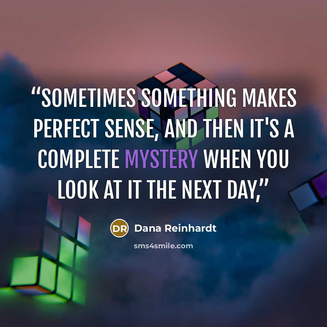 “sometimes something makes perfect sense, and then it's a complete mystery when you look at it the next day,” quote by Dana Reinhardt