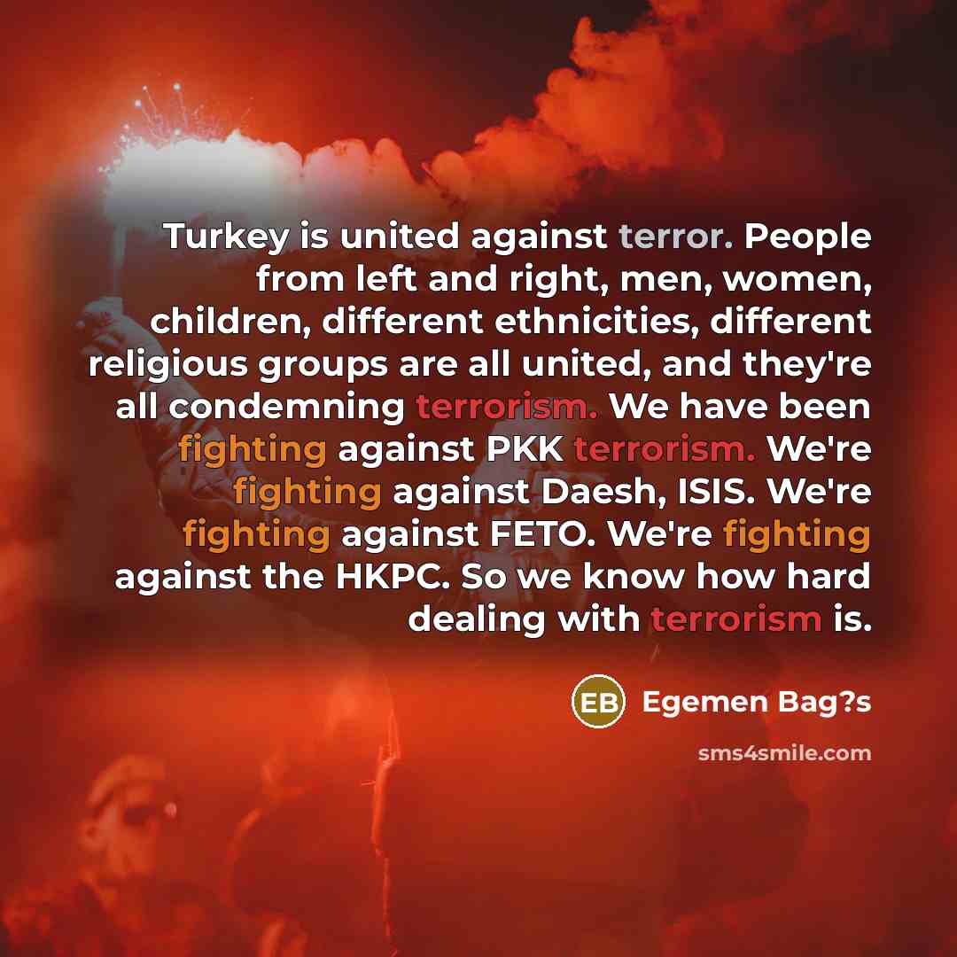 “Turkey is united against terror. People from left and right,…” quote by Egemen Bag?s