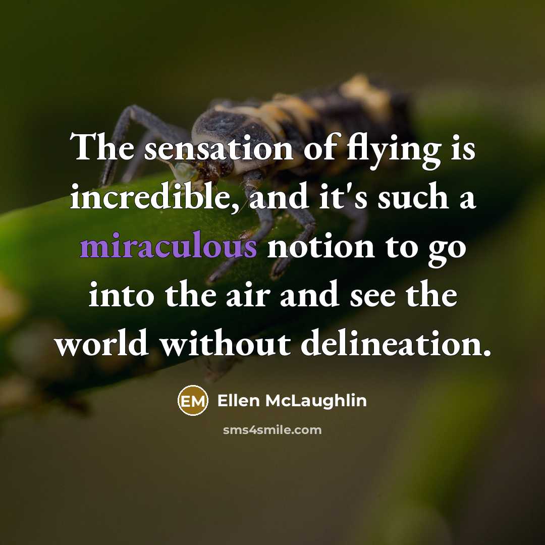 “The sensation of flying is incredible, and it's such a…” quote by Ellen McLaughlin