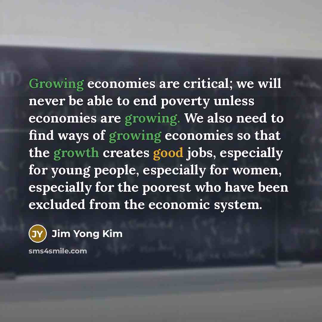 “Growing economies are critical; we will never be able to…” quote by Jim Yong Kim