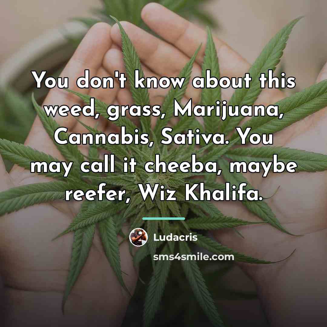 “You don't know about this weed, grass, Marijuana, Cannabis, Sativa.…” quote by Ludacris