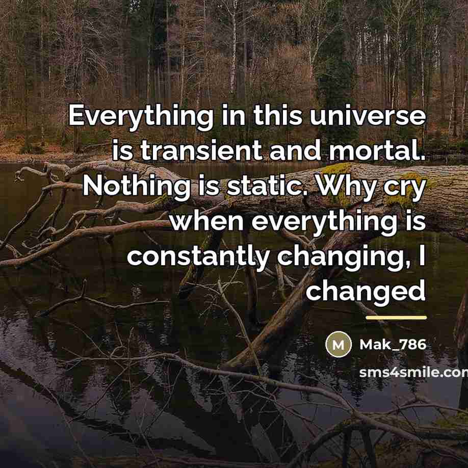 “Everything in this universe is transient and mortal. Nothing is…” quote by Mak_786