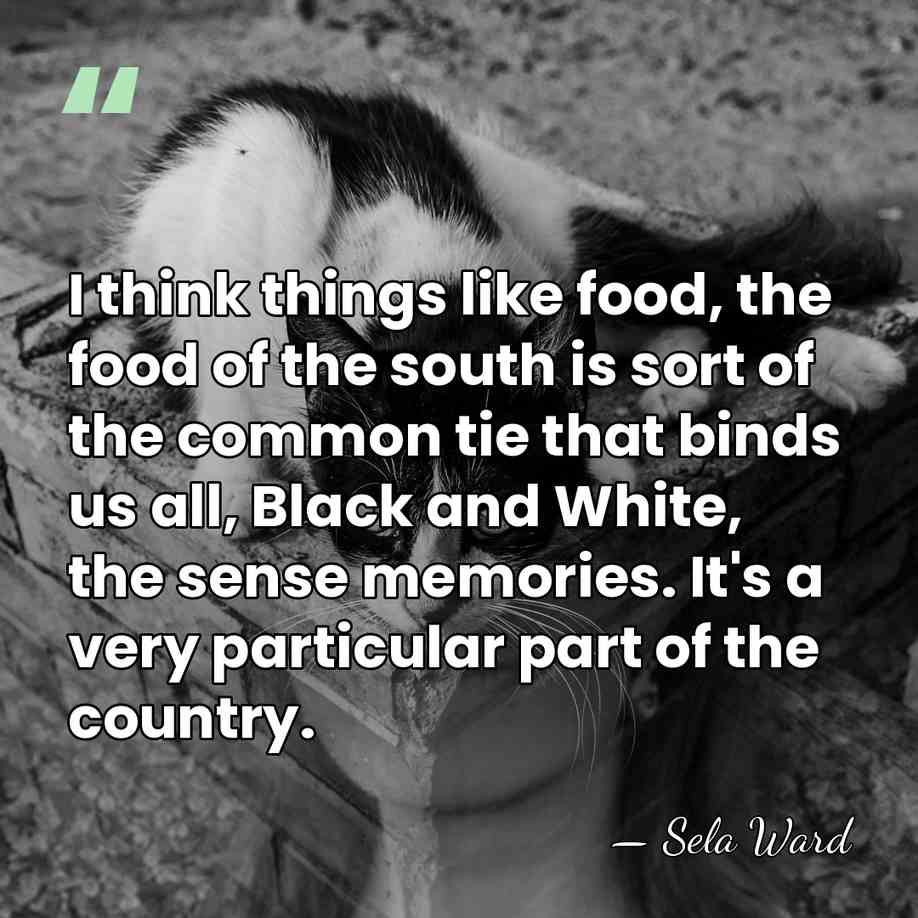 I think things like food, the food of the south is sort&hellip; - Sela Ward