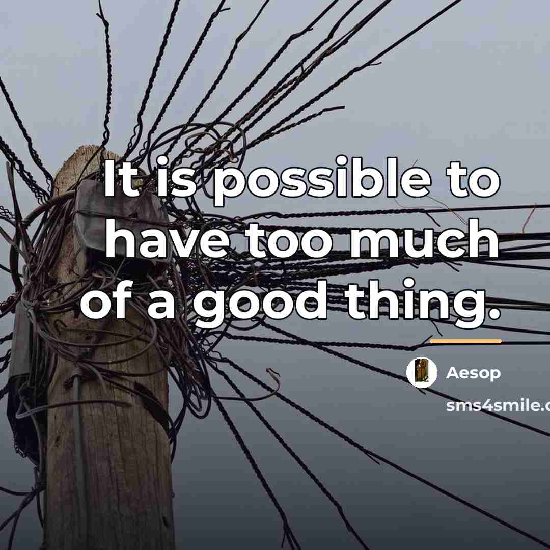 “It is possible to have too much of a good…” quote by Aesop
